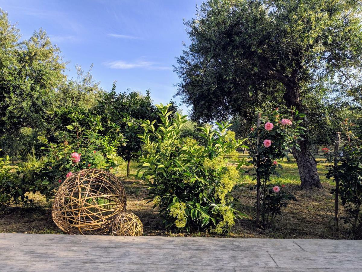 VasilikíCasa Di Porto Roma公寓 外观 照片